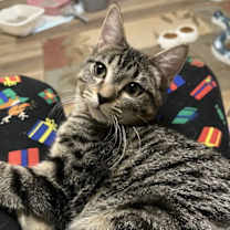 Thumbnail photo of Jenny #2