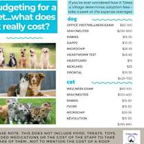 Thumbnail photo of Celeste #3