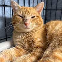 Thumbnail photo of Glenn #1