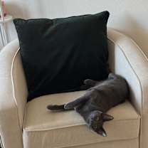 Thumbnail photo of Cam #2