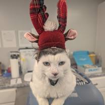 Thumbnail photo of Cinco #3