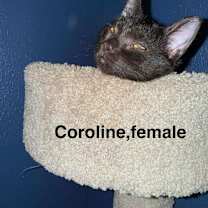 Thumbnail photo of Caroline #3
