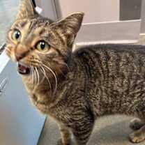 Thumbnail photo of Layla #2