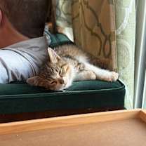 Thumbnail photo of Tiny Tim #4