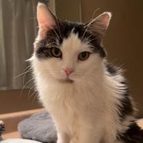 Thumbnail photo of Beignette #1