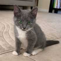 Thumbnail photo of Elphaba #4