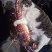 Thumbnail photo of Birdie #1