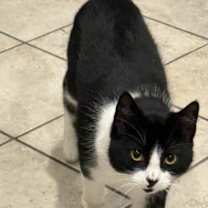 Thumbnail photo of Emma, Podrick #1