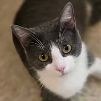 Thumbnail photo of Grayson #1