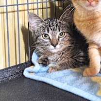 Thumbnail photo of Wendy #2