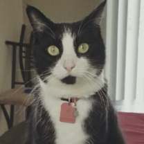 Thumbnail photo of Sebastian #1