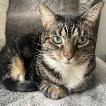 Thumbnail photo of Boots #2