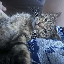 Thumbnail photo of Mystery  #2