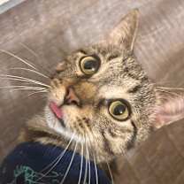 Thumbnail photo of Mystery  #4