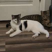 Thumbnail photo of Dots and Swirls #2