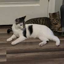 Thumbnail photo of Dots and Swirls #3