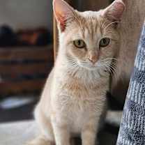 Thumbnail photo of Hayloft #1