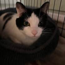 Thumbnail photo of Ruby #1