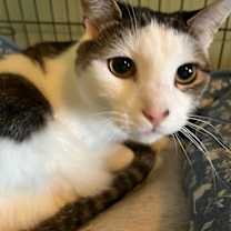 Thumbnail photo of Ripple #2