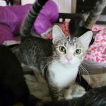 Thumbnail photo of Riley Rogers #1