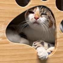 Thumbnail photo of Carla #3