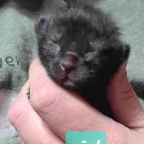 Thumbnail photo of Sally #3