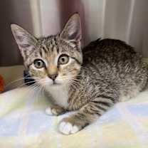 Thumbnail photo of G-Jenny #1