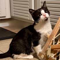 Thumbnail photo of Meadow #2