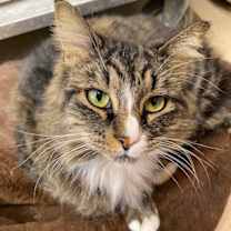 Thumbnail photo of Greta #3