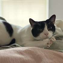 Thumbnail photo of Brooks #3