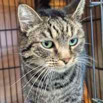 Thumbnail photo of Twila #2