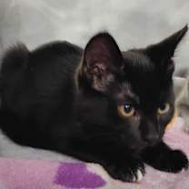 Thumbnail photo of Tina #3