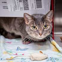 Thumbnail photo of Lyla #4