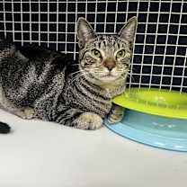 Thumbnail photo of Luke #1