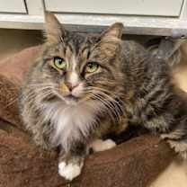 Thumbnail photo of Greta #2