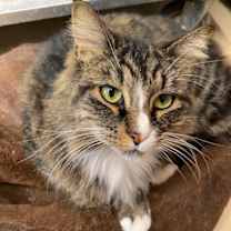 Thumbnail photo of Greta #3