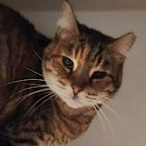 Thumbnail photo of Cindi #3