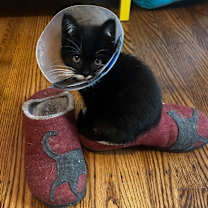 Thumbnail photo of Bridgette  #1