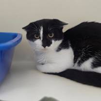 Thumbnail photo of Travis #1