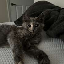 Thumbnail photo of Megumi and Happy #4