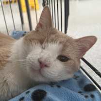 Thumbnail photo of Uno #1