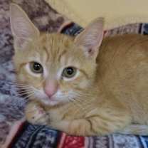 Thumbnail photo of Oliver #3