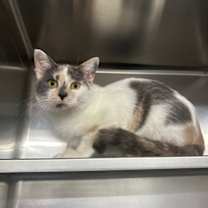 Thumbnail photo of Louisiana #2