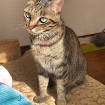 Thumbnail photo of Spice #1