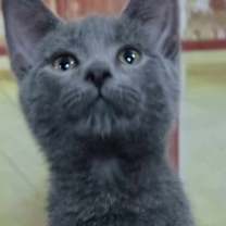 Thumbnail photo of Joel #1