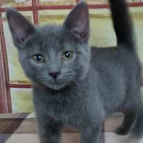 Thumbnail photo of Joel #2