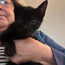 Thumbnail photo of Jasmine #1