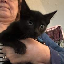 Thumbnail photo of Jasmine #2