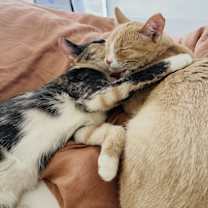 Thumbnail photo of Jackie #1