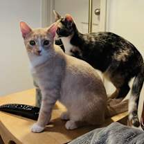 Thumbnail photo of Jackie #2